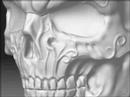 ZBrush3 RAKUGAKI