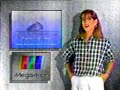 Espacio Viste como se hace Megavision - 1992