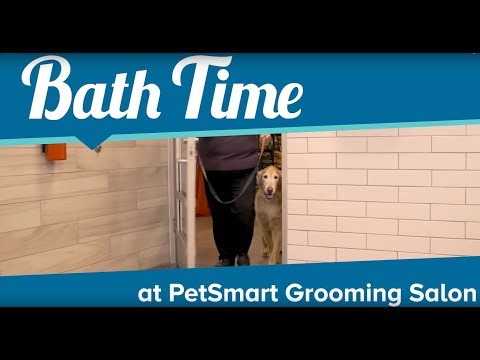 Puppy Bath Time at PetSmart Grooming Salon