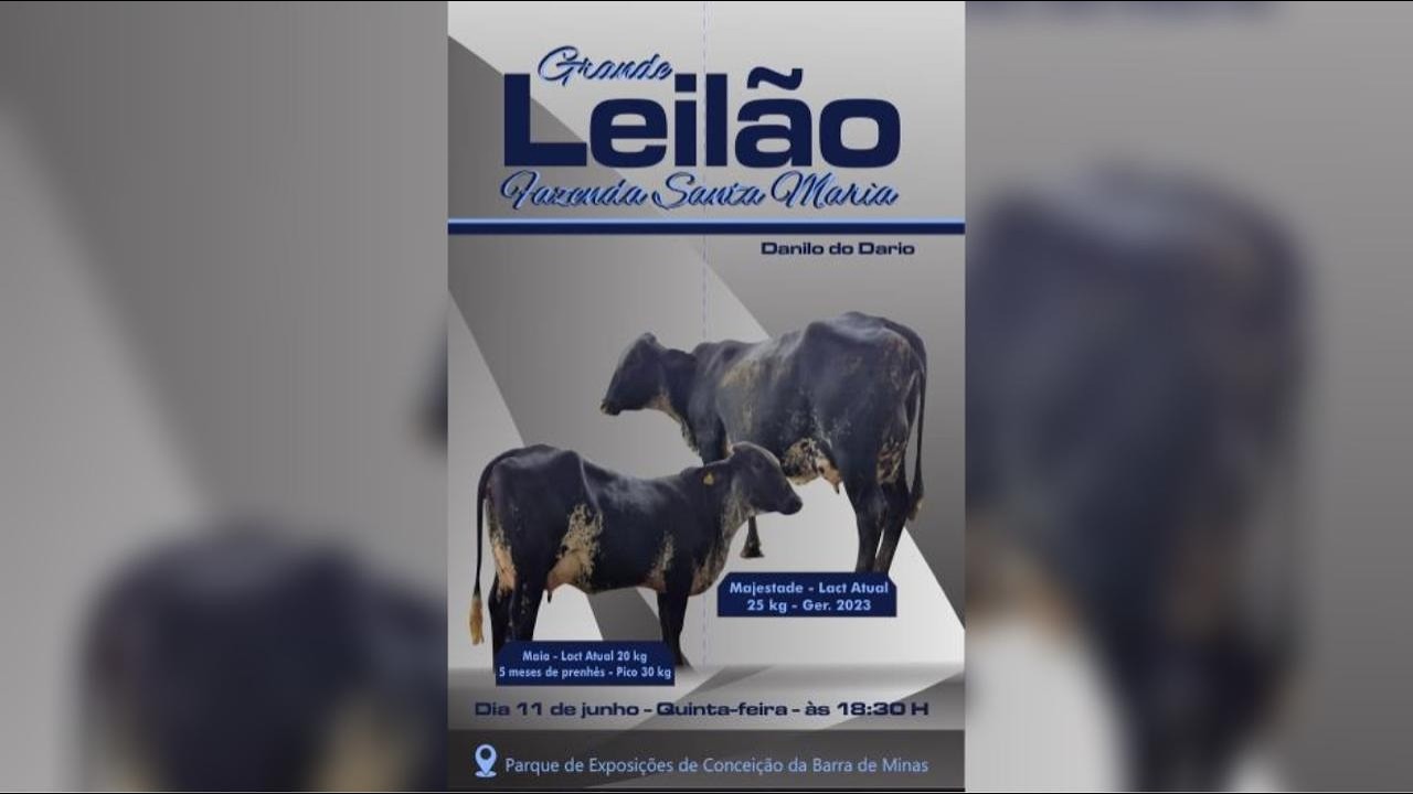 GRANDE LEILÃO FAZENDA SANTA MARIA - DANILO DO DÁRIO - CONCEIÇÃO DA BARRA DE MINAS - 11/06/2026