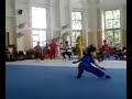 xinghua pri school wushu