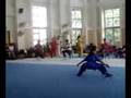 xinghua pri school wushu