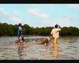 Kenya - Mida Creeck - Escursione da Malindi