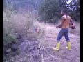 longobardi spurgo e andrea