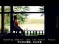 David Archuleta - Crush (with lyrics)