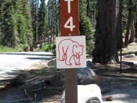 Yosemite National Park 2006 - ...