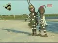 mosquitoes in love