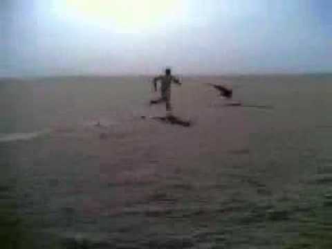 Saudi Catches Bird