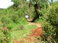 Subida do Barranco - Alagados 2