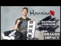 Hayabusa MMA Pro Muay Thai Shields Targets