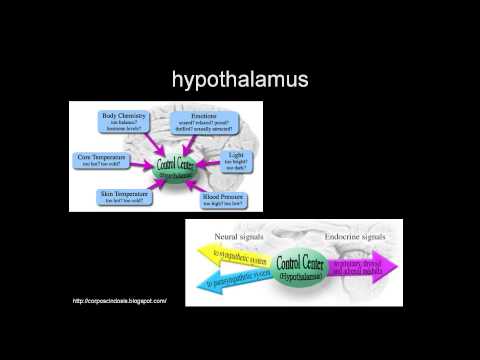 how to help fibromyalgia