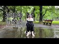 孤独の雨散歩 RAINEY＜189＞