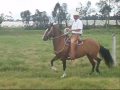 Australiana 0001