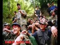 gjimnazi-likov-klasa-317-wwwseidtk.html