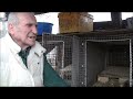 Кролиководство: Гнездовье для крольчихи от Н И Золотухина