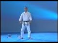 karate shotokan   heian godan