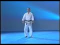 karate shotokan   heian godan