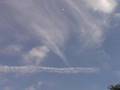 Texas UFO Alien Sylph Bonanza