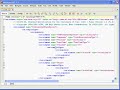 overview of the continuity of care record  ccr  xml schema