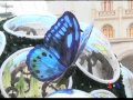 Burmese TV Update 05-19-2012