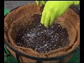 Conserve Water with Soil Moist Water Polymers Conserve Water with Soil Moist Water Polymers
