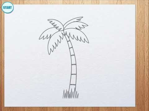 how to draw a palm tree