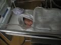 robin leo sayat born