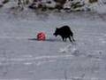 Football - by mudi
