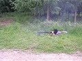 Bang bang