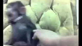 Baraka N Tatsa Awa   YouTube