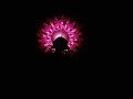 bal�o arte show