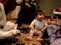 The rabbit attack