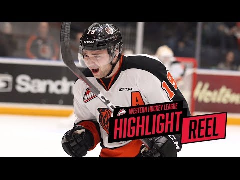 2017-18 HIGHLIGHT REEL | David Quenneville