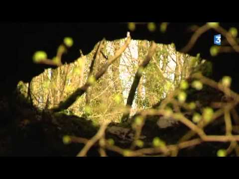 Vid�o de J�r�me Camut