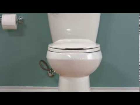how to drain overflowing toilet