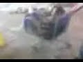 BACHO 4 CARRITO DE WALT MART BACHO 4 CARRITO DE WALT MART