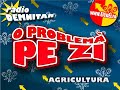 Radio Demnitar 4 - o problema pe zi cu \"Ei cu ei\" Radio Demnitar 4 - o problema pe zi cu \"Ei cu ei\"