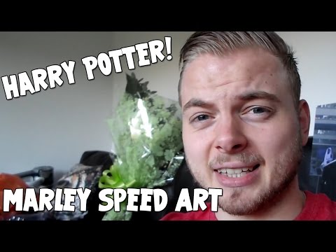Marley - Drawing Enquiries E-mail - awesomesaucersbusiness@hotmail.com Welcome to SquiddyVlogs! In today video, we meet Bob. Hope you enjoy!