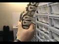 Pet-Project-08-part-