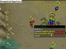 Momeydragon's Kalphite queen trip