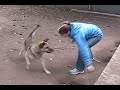 ADOPTED - DAGGET