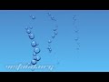 Aqua bubbles