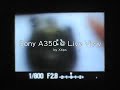 Sony A350 test by Xtips