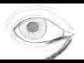 Thumbnail #1