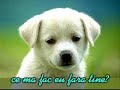 Special pentru viata mea Andreea!!!