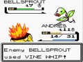 Pokemon Crystal Part 5 Flash Get!