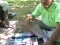 iznik elmal? k�y�