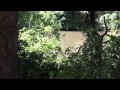 Lower Zambezi National Park - YouTube