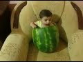 Niño Come Sandia Desde Adentro