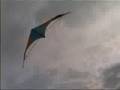 Kites Drachen Video Germany